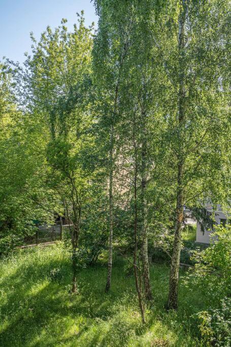 Rozana, Stary Mokotow Appartement Warschau Buitenkant foto